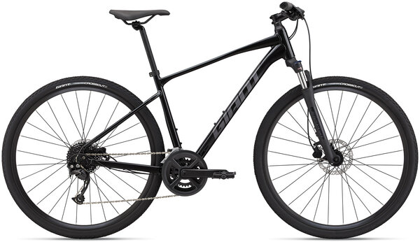 Giant Roam Disc 2