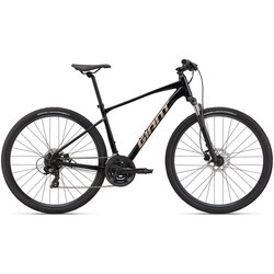 Giant Roam Disc 4
