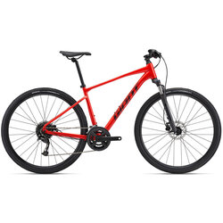 Giant Roam Disc 2
