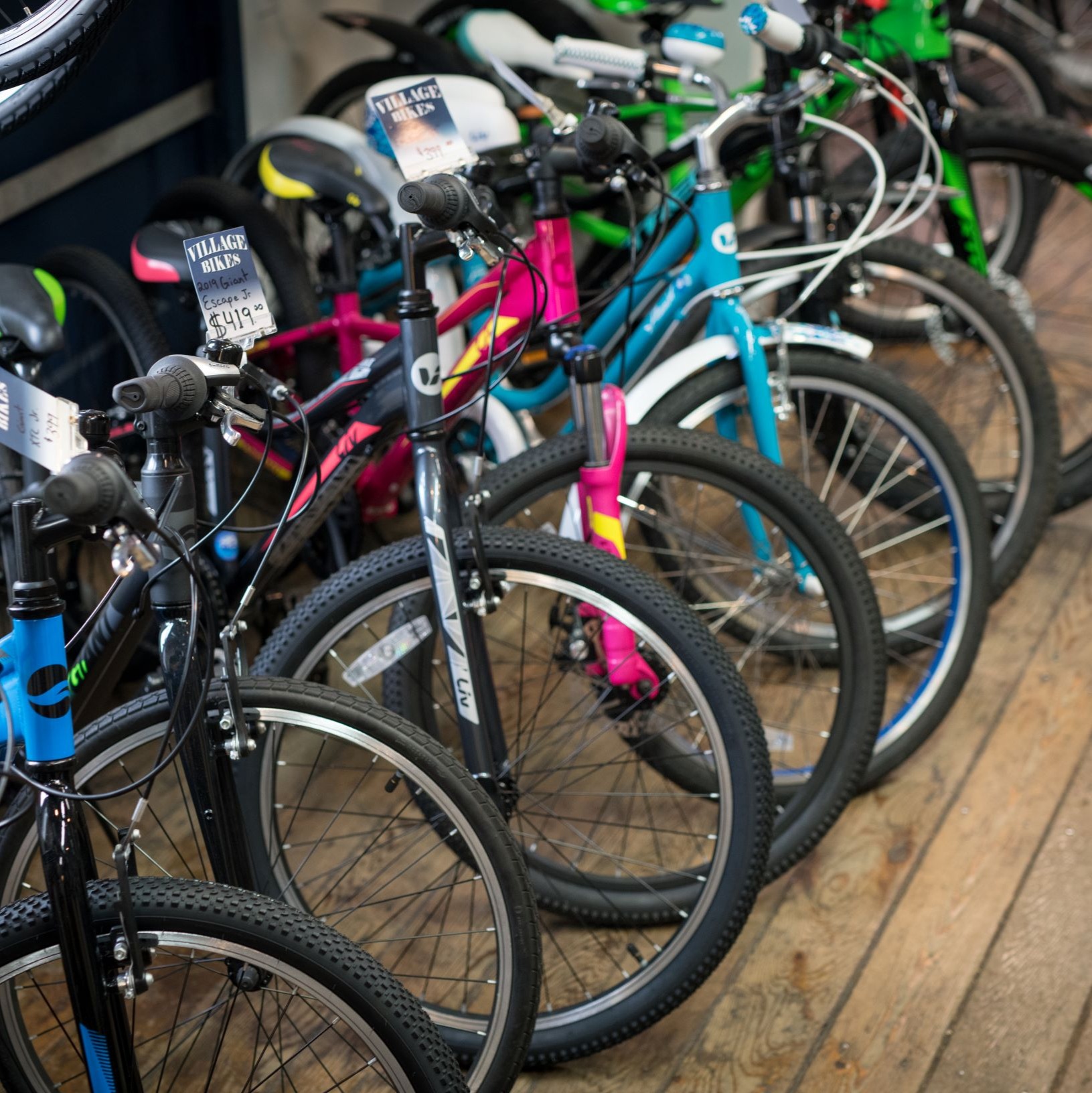 Giant run bike